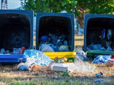 Dumpster Trash Service Rancho Cucamonga Ca