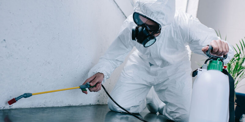 Pest Control Services Near Me: Your Solution to Pest Problems