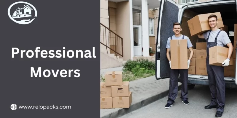 professional movers in Dubai