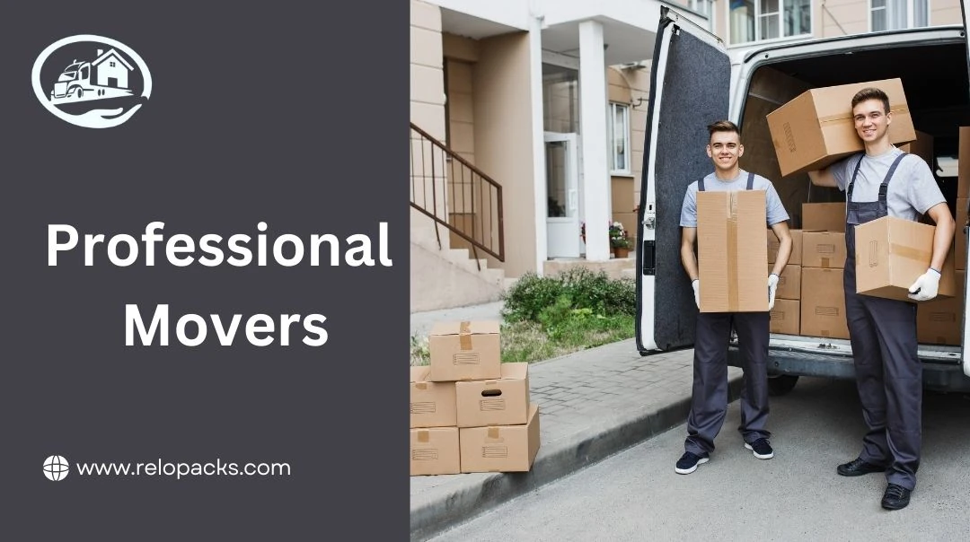 professional movers in Dubai