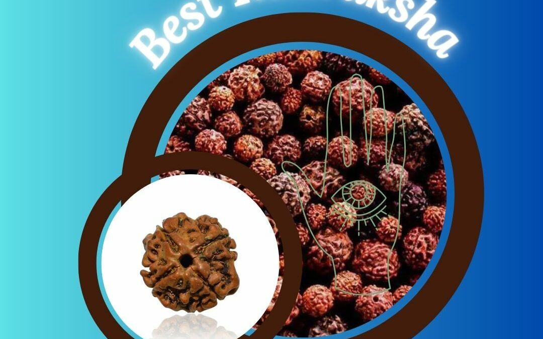 best rudraksha