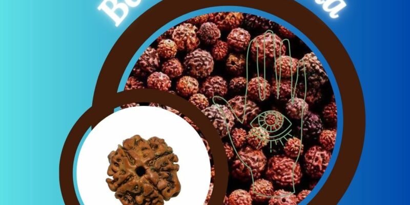 best rudraksha