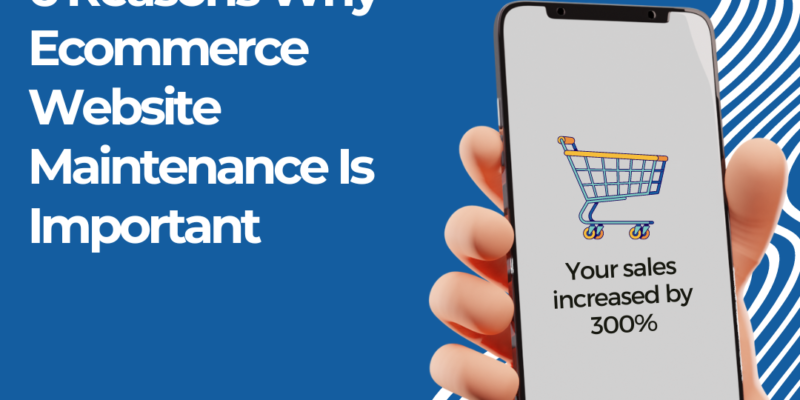ecommerce website maintenance