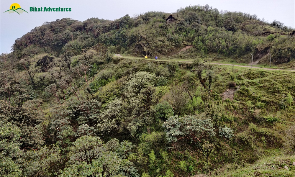 Sandakphu Trek