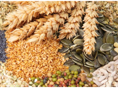 Export Opportunities and Challenges for Indian Cereals