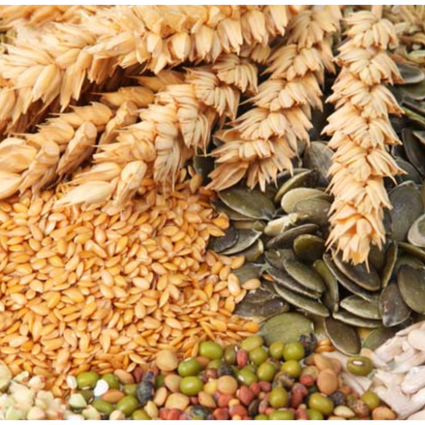 Export Opportunities and Challenges for Indian Cereals