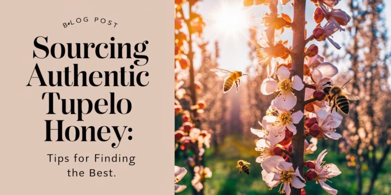 Sourcing Authentic Tupelo Honey: Tips for Finding the Best