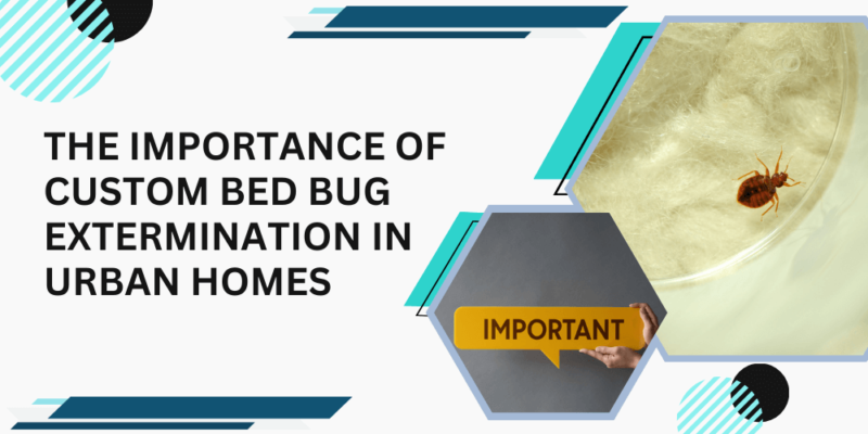 The Importance of Custom Bedbug Extermination in Urban Homes