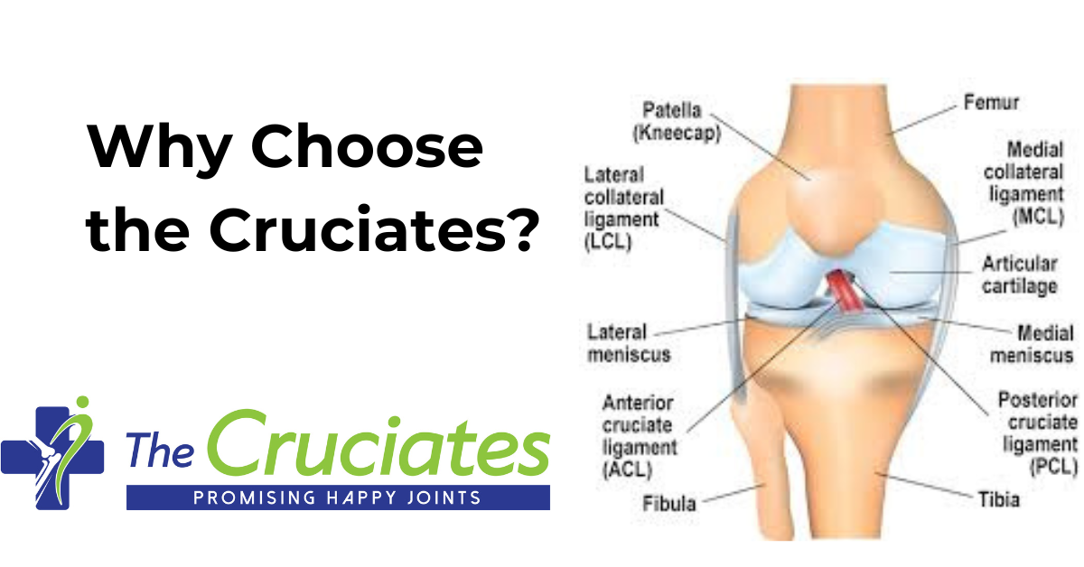 Posterior cruciate ligament injury