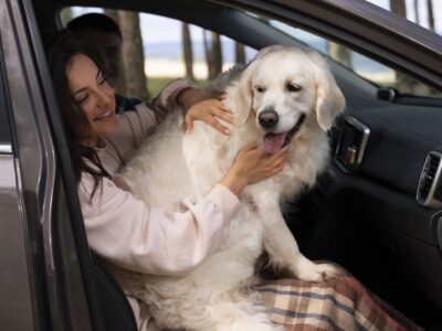 pet taxi birmingham