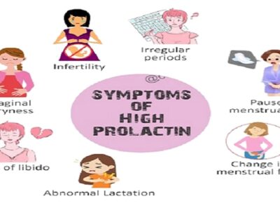 hormone prolactin