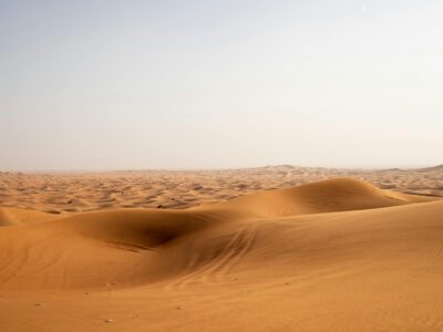 Evening Desert Safari Dubai