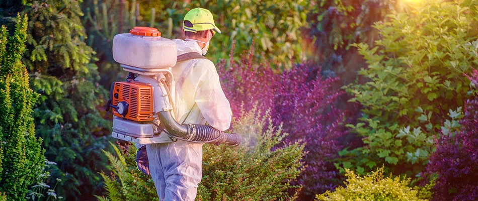 best mosquito control company