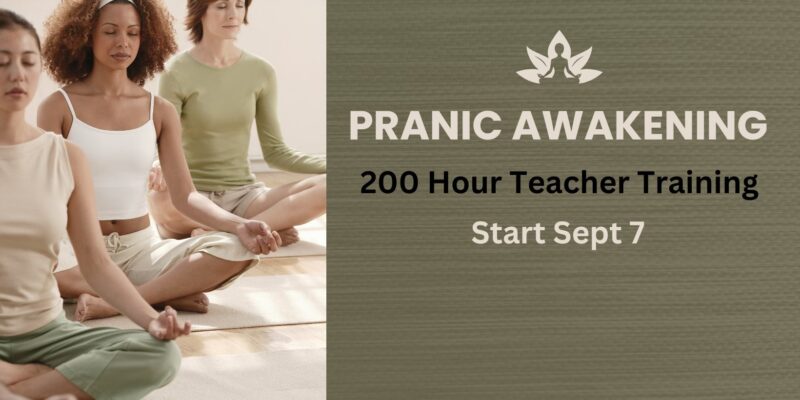 200 hour yoga teacher training