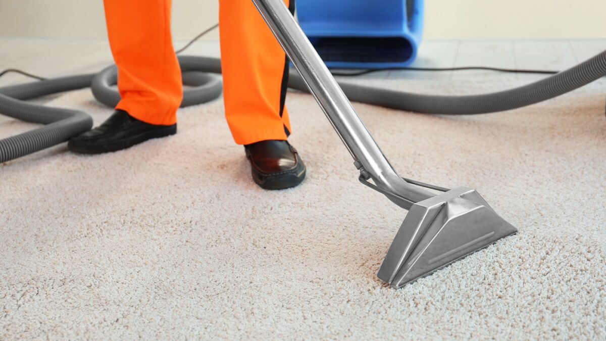 Dry cleaner's employee removing dirt from carpet in flat