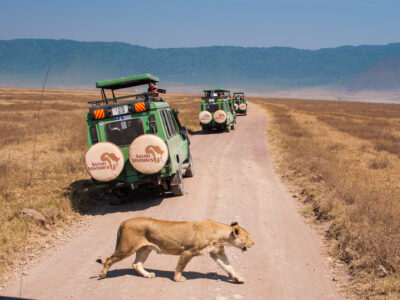 African safari vacation