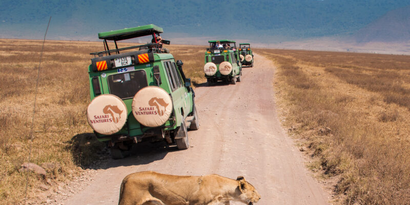 African safari vacation