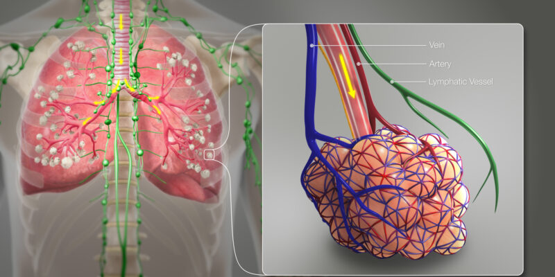 The Future of Medical Animation: Innovations and Trends to Watch