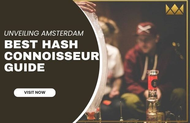 Best hash in Amsterdam