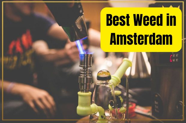 Best weed in Amsterdam