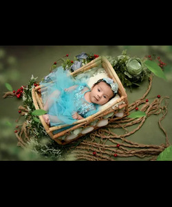 New Born Baby Photography