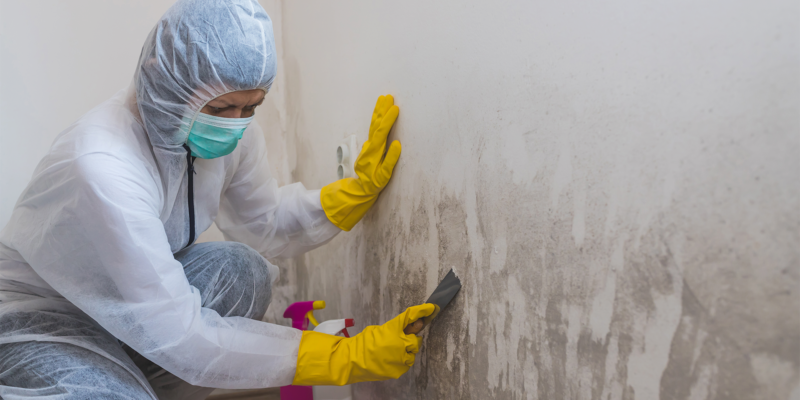 mould treatment sydney