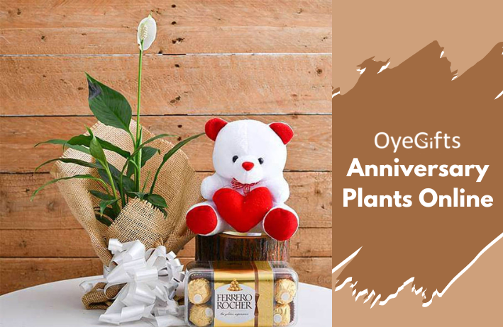 Anniversary Plants Online