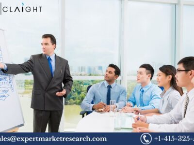 IT Training Market