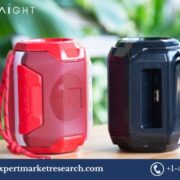 Portable Bluetooth Speaker Market