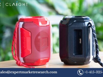 Portable Bluetooth Speaker Market