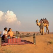 Dubai Desert Safari Tours