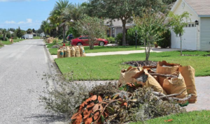 cost to remove yard waste in Oakhurst