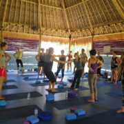 Yin Yoga Teacher Training in Bali