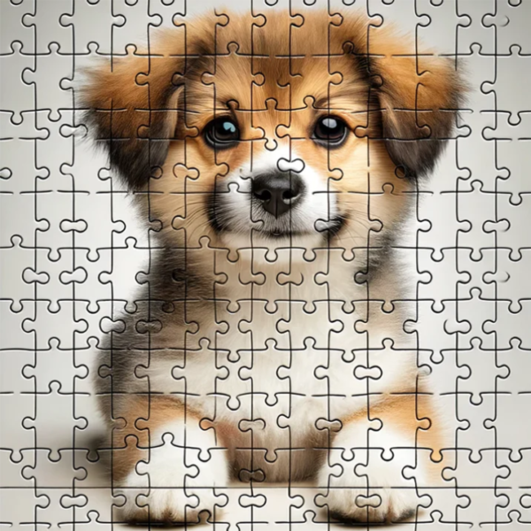 best jigsaw puzzles Australia