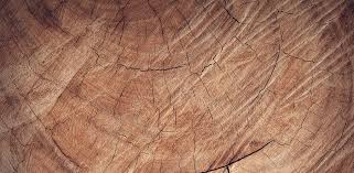 Kikar Wood Price in Pakistan: