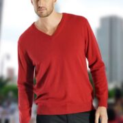 men's v-neck cashmere sweater sale