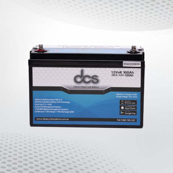 100 amp deep cycle battery