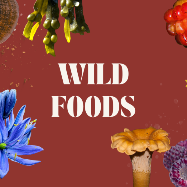 Foraging Wild Foods