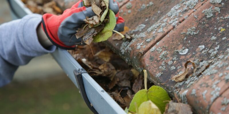 Best Gutter Solutions in Dallas