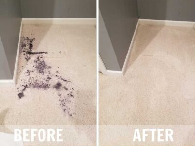 Carpet Cleaning