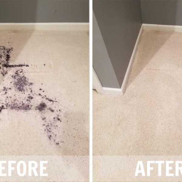 Carpet Cleaning