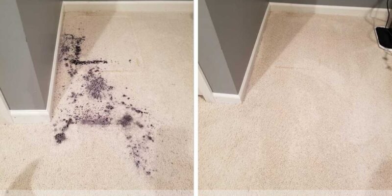 Carpet Cleaning