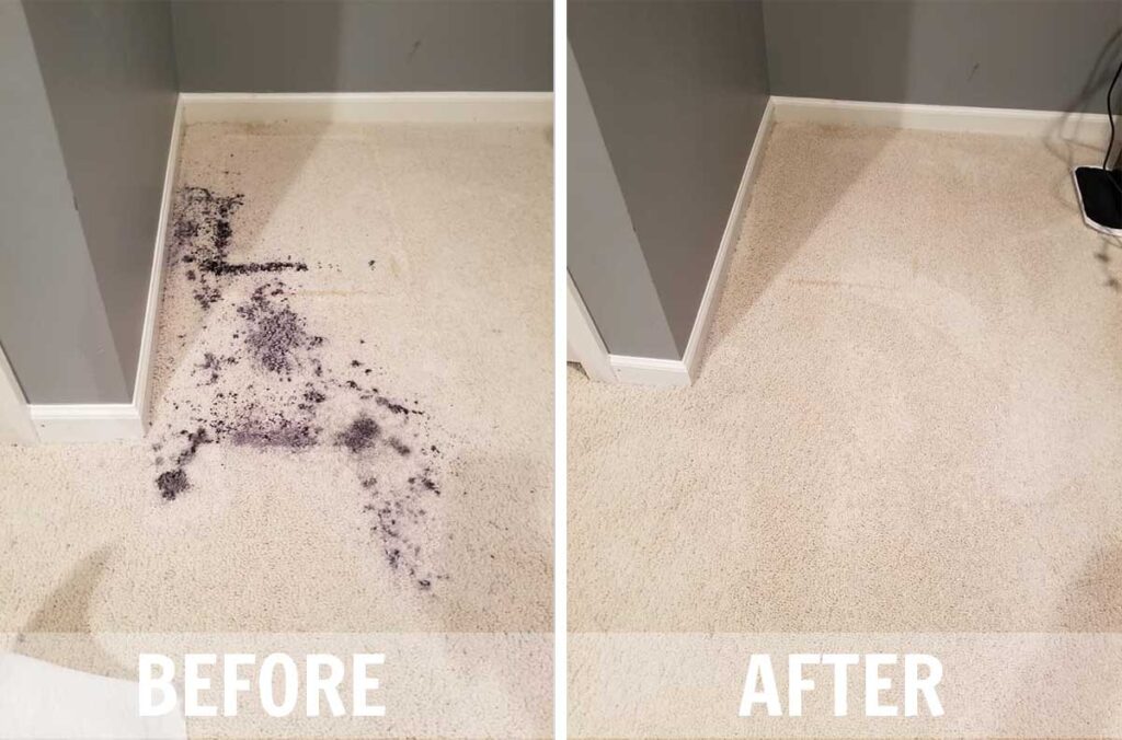 Carpet Cleaning